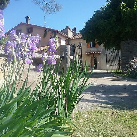 Casa Vacanze Podere Ugolini Ronta Dış mekan fotoğraf