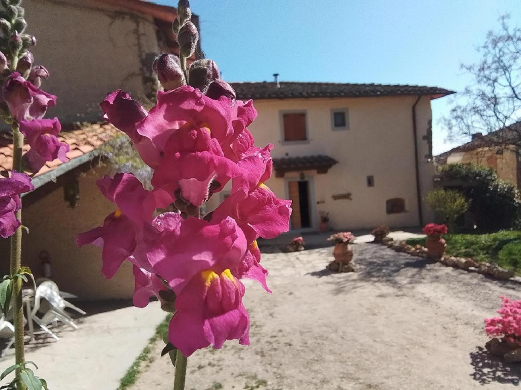 Casa Vacanze Podere Ugolini Ronta Dış mekan fotoğraf