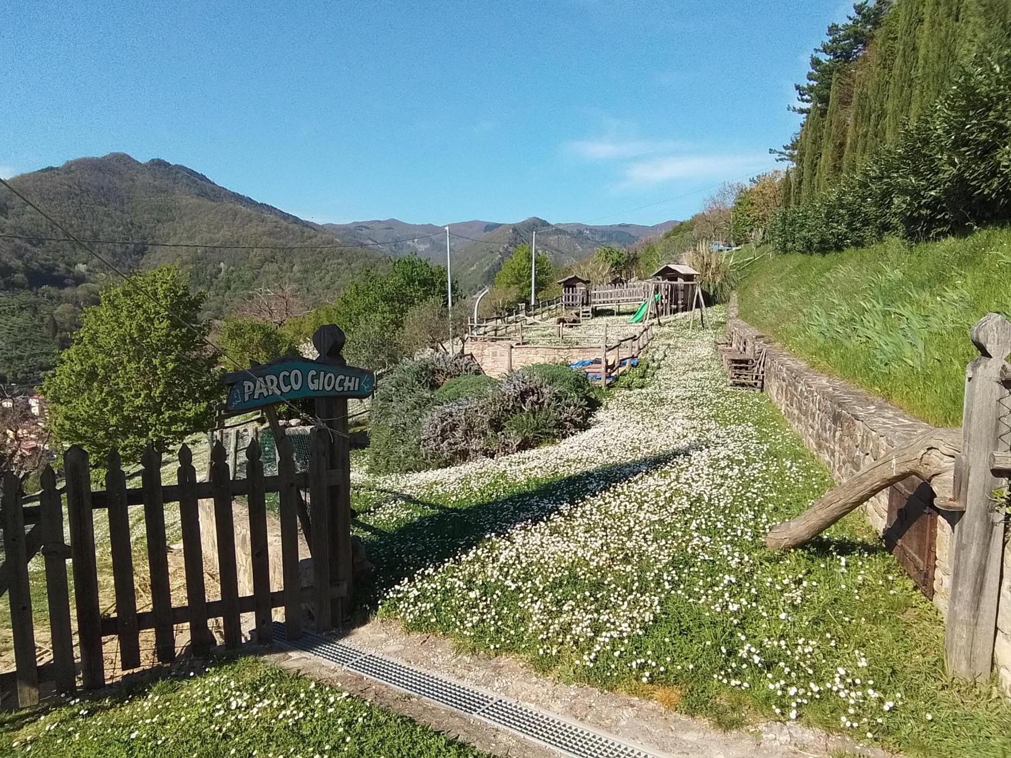 Casa Vacanze Podere Ugolini Ronta Dış mekan fotoğraf