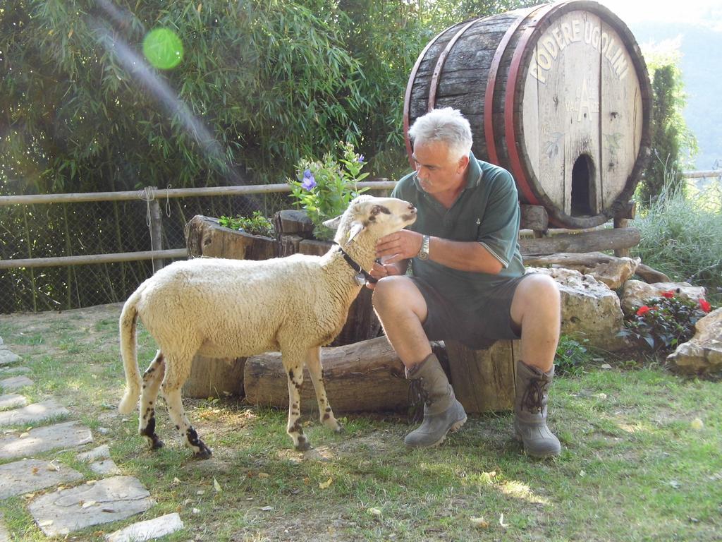 Casa Vacanze Podere Ugolini Ronta Dış mekan fotoğraf
