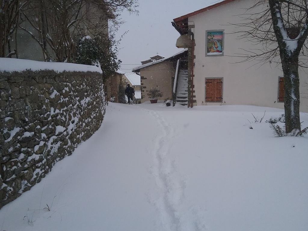 Casa Vacanze Podere Ugolini Ronta Dış mekan fotoğraf