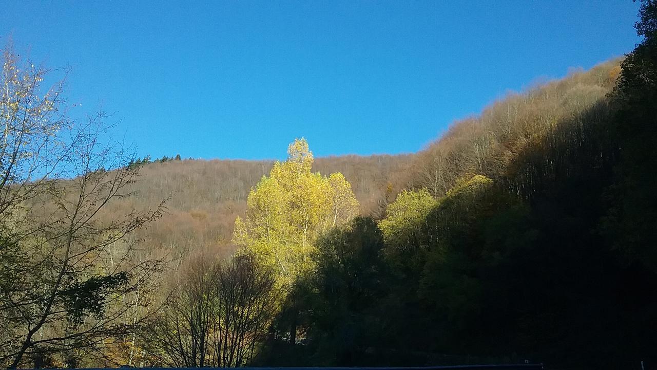 Casa Vacanze Podere Ugolini Ronta Dış mekan fotoğraf