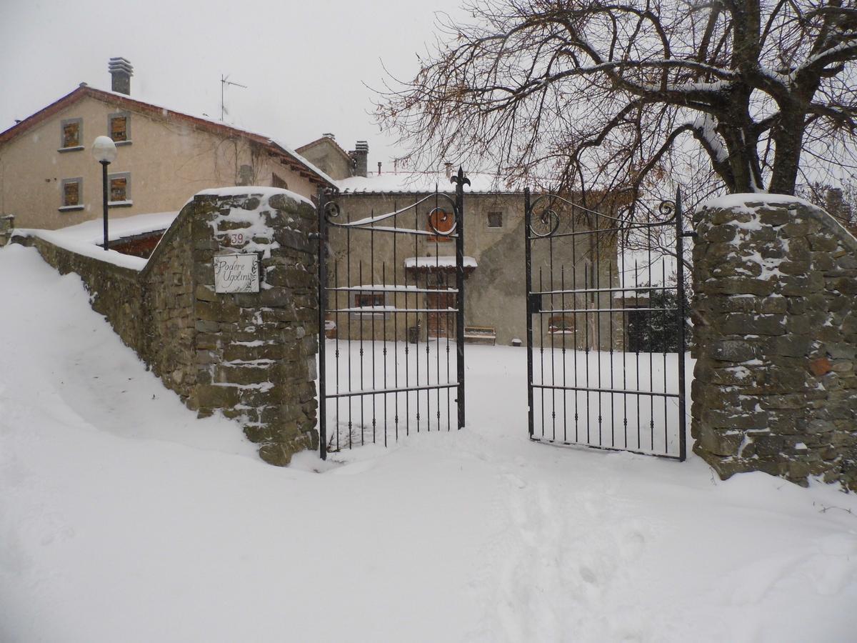 Casa Vacanze Podere Ugolini Ronta Dış mekan fotoğraf