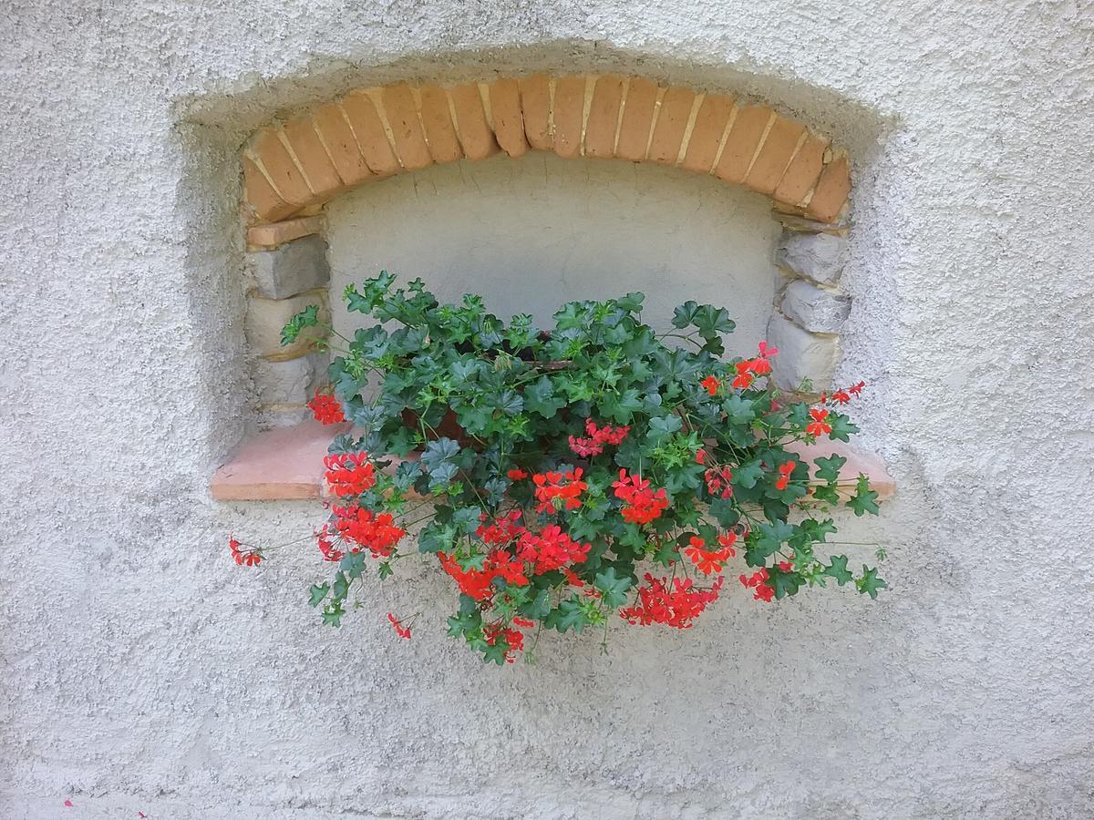 Casa Vacanze Podere Ugolini Ronta Dış mekan fotoğraf
