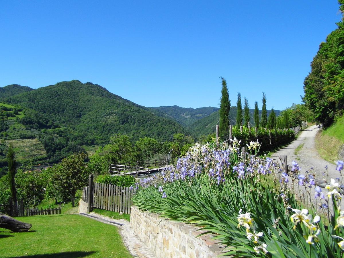 Casa Vacanze Podere Ugolini Ronta Dış mekan fotoğraf