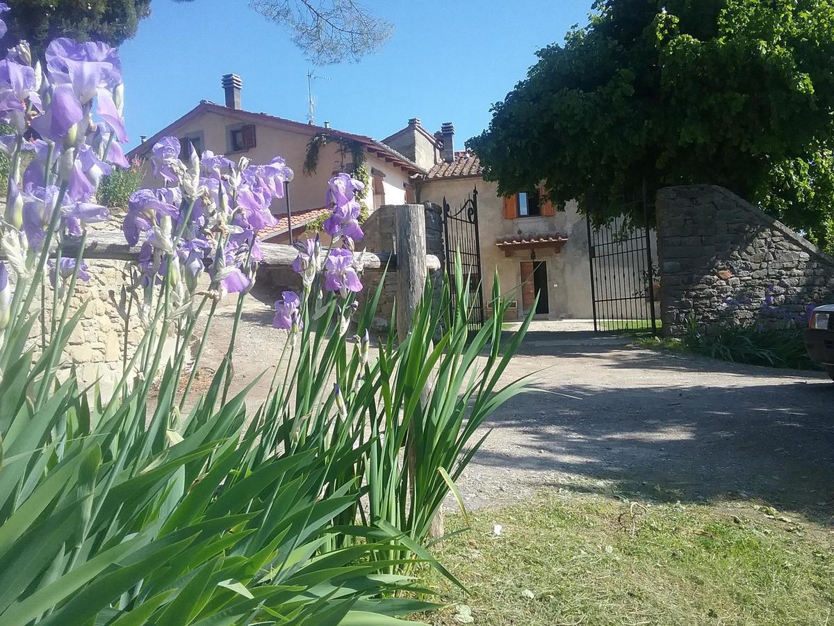 Casa Vacanze Podere Ugolini Ronta Dış mekan fotoğraf