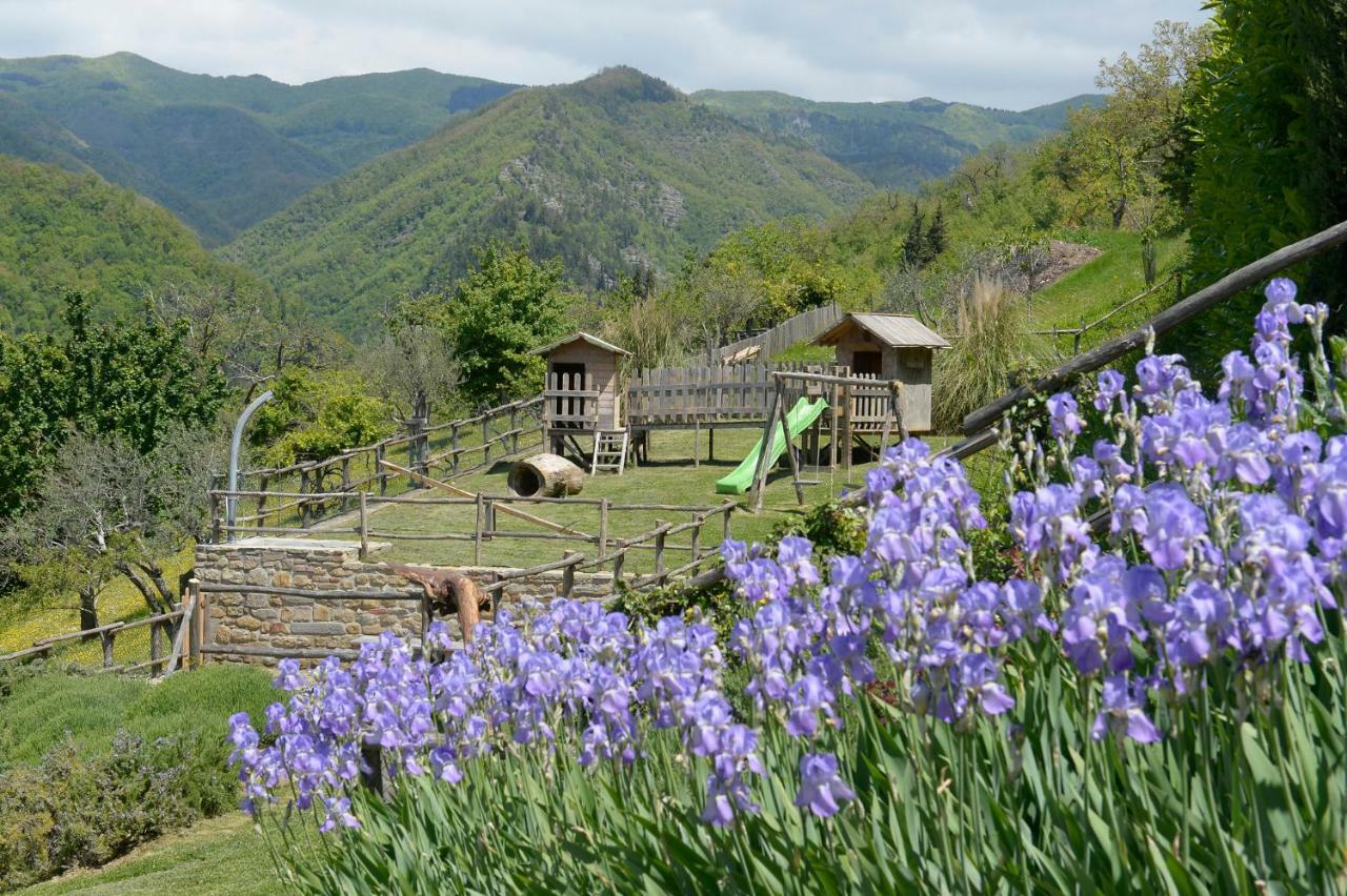 Casa Vacanze Podere Ugolini Ronta Dış mekan fotoğraf